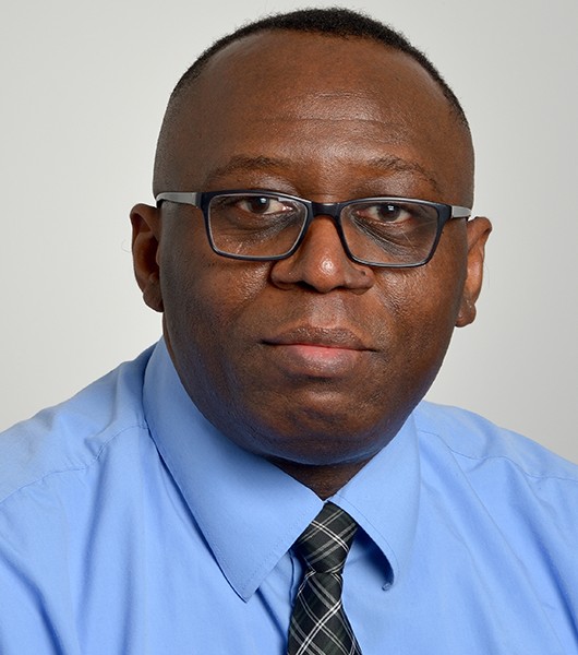 Prof. Celestine Iwendi