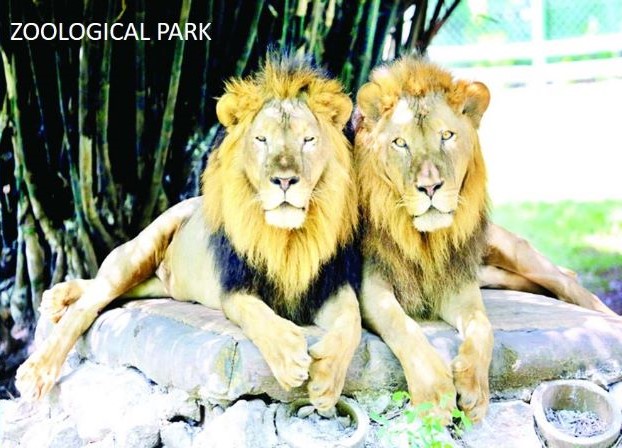 Tata Steel Zoological Park